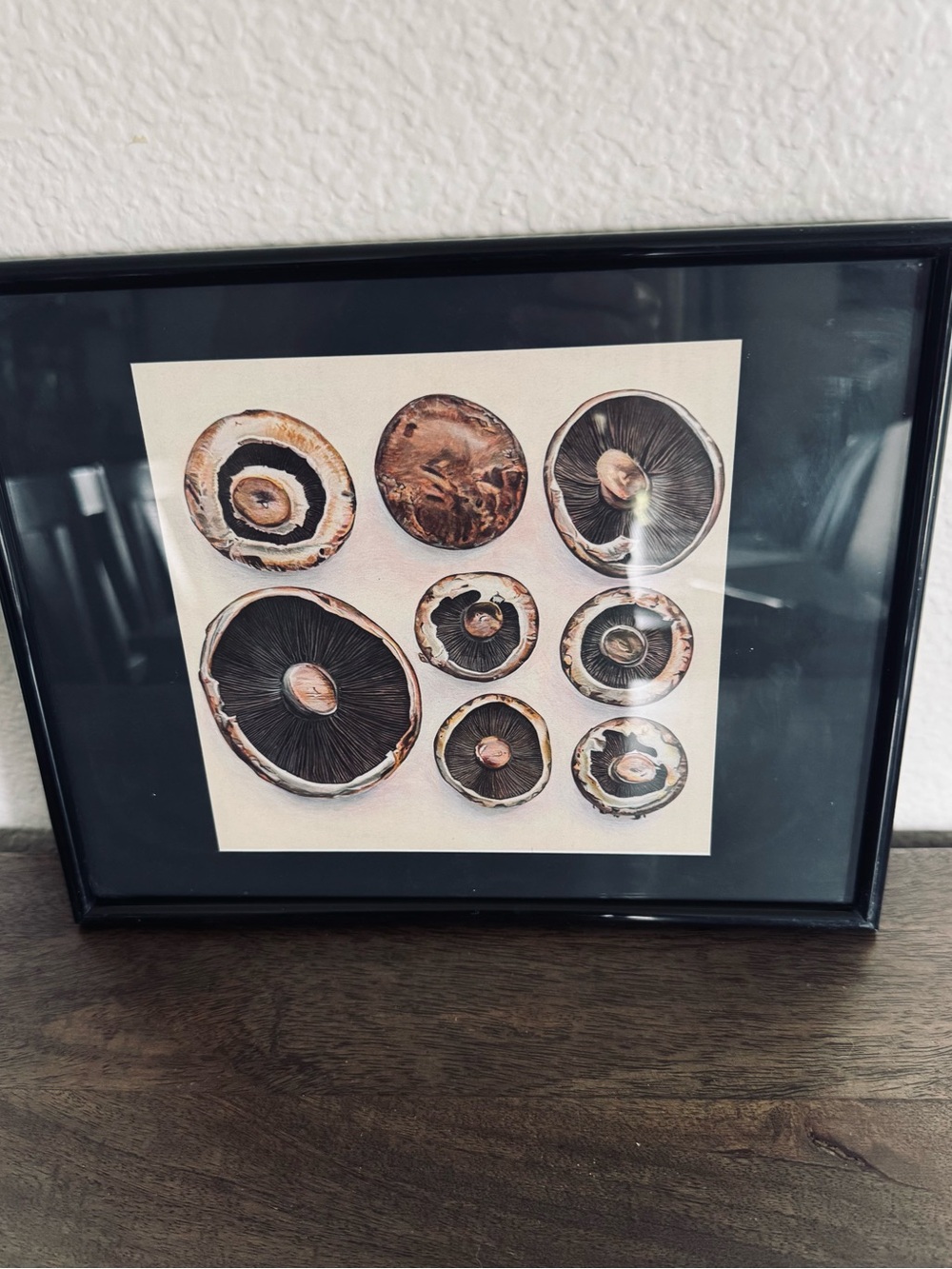 Mushroom Graphic Unique Framed Kitchen Art
